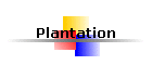 Plantation