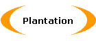 Plantation